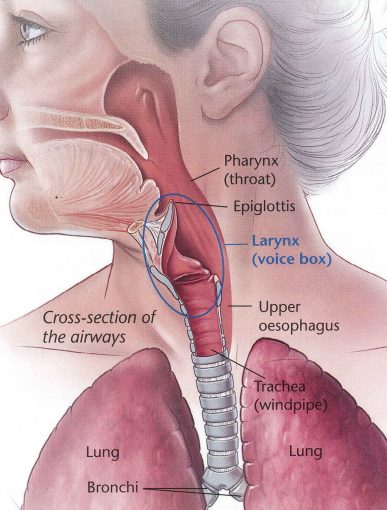 mitec-microlaryngoscopy